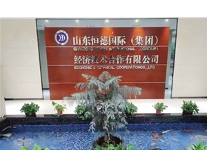 山东恒德公司